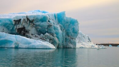 arctic