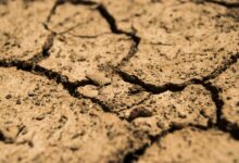 drought
