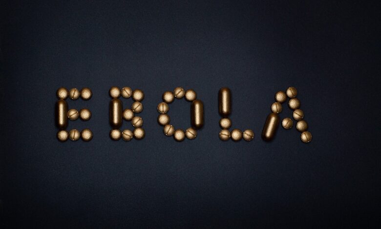 Sum na ebolo v Avstriji in Italiji vzbuja skrb v Evropi 1 ebola 1