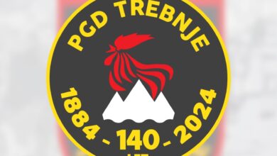 gasilci resili dan drama s padlim drevesom in ujetim ucencem v sloveniji 6a0c50ebb3d58 1779192043