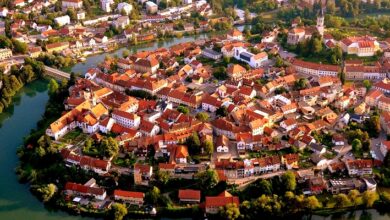 kulinaricna poslastica hisa fink in hotel dolenjc na festivalu cvicka foto 6a0dcc98ed4bf 1779289240
