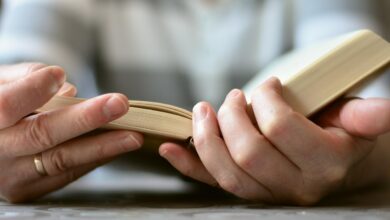 maribor postaja literarna prestolnica slovenski dnevi knjige 6a159968ba5f2 1779800424