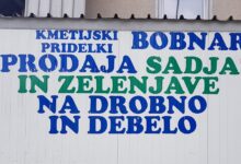 nasilje na kmetiji bobnar zlorabe tujih delavcev pod drobnogledom 6a0840311c02b 1778925617