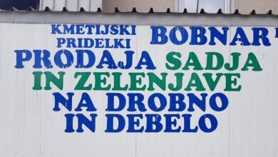 nasilje na kmetiji bobnar zlorabe tujih delavcev pod drobnogledom 6a0840311c02b 1778925617