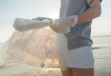 nemcija kot vodilna izvoznica plasticnih odpadkov globalni izzivi in posledice 69f4dc19a7b9a 1777654809