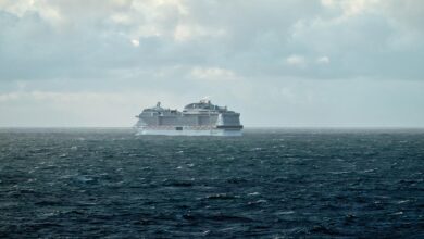 nevarni virus na krizarki mv hondius panika med potniki inkubacijska doba je dolga video 69f9bfbd4672b 1777975229