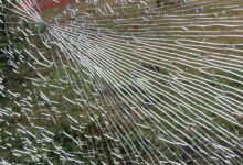 neznanec vlomil v poslovni prostor in povzrocil ogromno skodo 69ff2fe967cd6 1778331625