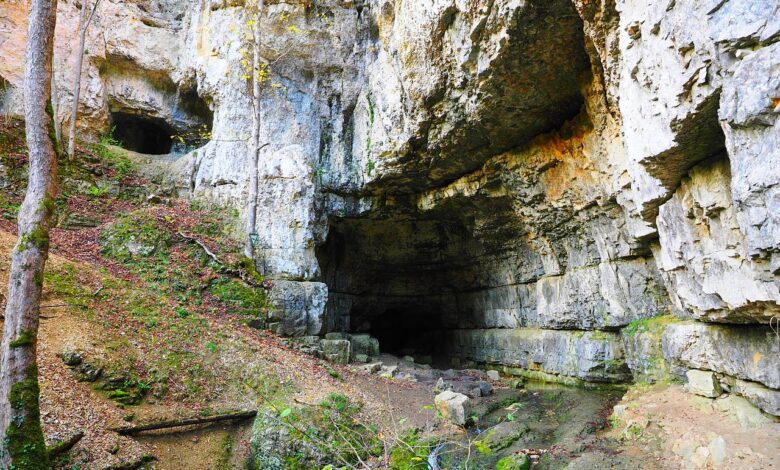 Nova Gorica vabi na Bogatajeve dni: Spoznaj reševalne junake! #foto 1 nova gorica vabi na bogatajeve dni spoznaj resevalne junake foto 6a0c6cfa30ea1 1779199226