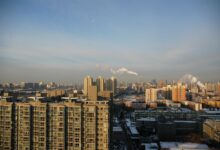 peking