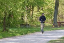 pohod na kohisce narava zgodovina in druzbena odgovornost na krasu 69fe16b2a906d 1778259634