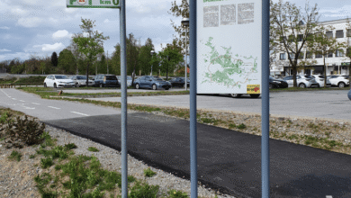 pot ob zici ljubljana praznuje z mnozicnim tekom in pohodom 69fd8a22a4986 1778223650