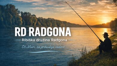 prenovljena terasa ribiskega doma hrastje mota navdusuje foto 6a1b0999252c1 1780156825