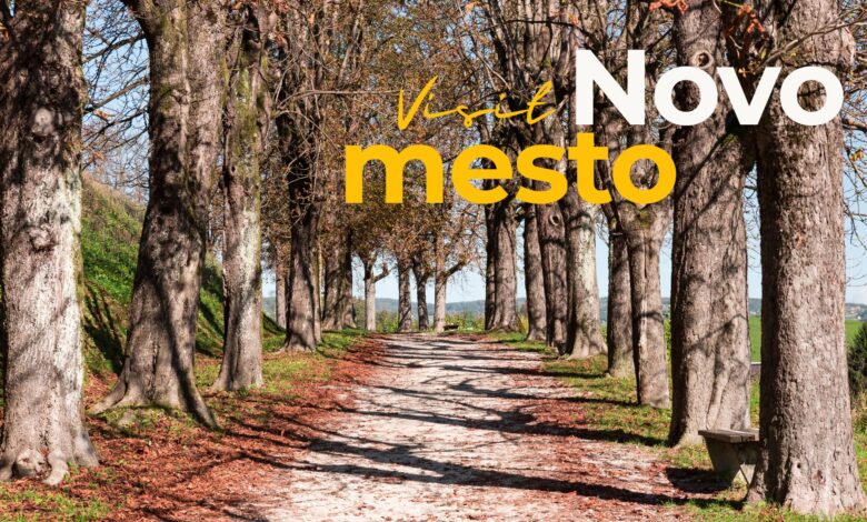 prometni kaos v novem mestu enosmerna seidlova cesta ohromila mesto 6a049216e70a1 1778684438