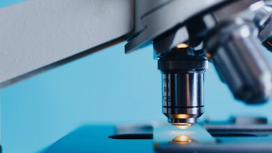 ptujski laboratorij pred prenovo kaj prinasa prihodnost 69f5a102c8946 1777705218