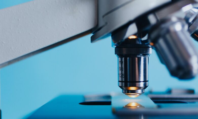 ptujski laboratorij pred prenovo kaj prinasa prihodnost 69f5a102c8946 1777705218