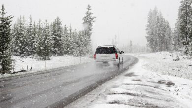 snezna odeja v maju na miklavzu pripravite se na pozebo 6a0467eac264e 1778673642