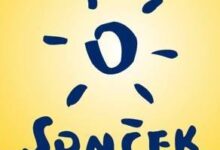 soncek posavje in evropski projekt za varno plavanje v odprtih vodah 6a13f3ad91245 1779692461