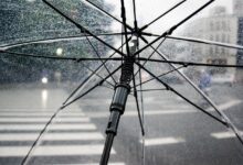 umbrella 1
