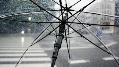 umbrella 1