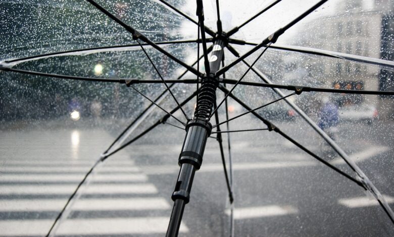umbrella 1