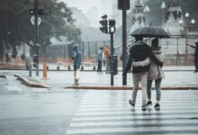 umbrella
