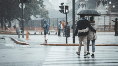 umbrella