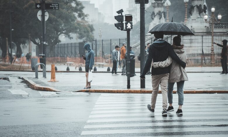 umbrella