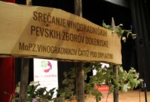vinogradniski pevski zbori navdusili dolenjsko z ubranim petjem foto 6a05e3953ed25 1778770837