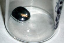 zivo srebro v ucilnici gimnazije kranj evakuacija in sanacija 69fdde669ae83 1778245222
