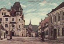 brezice vlagajo v trajnostno kmetijstvo za prihodnost 6a2acd93e21b8 1781190035