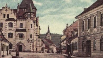 brezice vlagajo v trajnostno kmetijstvo za prihodnost 6a2acd93e21b8 1781190035
