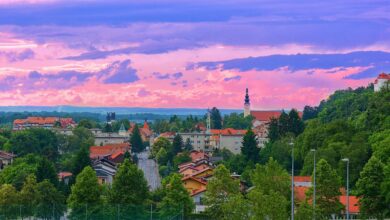 dogodek v lendavi odkrito o odvisnosti in sportu 6a27ba07542d0 1780988423
