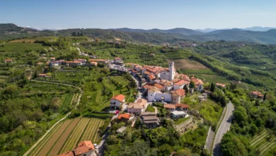 ekstremni vrocinski val na goriskem temperature presegle 40c 6a437789861ff 1782806409
