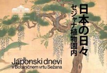 japonski kamisibaj navdusil podgoro z zgodbami in slikami foto 6a43cbe8c8391 1782828008