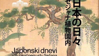 japonski kamisibaj navdusil podgoro z zgodbami in slikami foto 6a43cbe8c8391 1782828008
