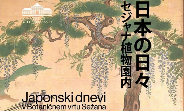 japonski kamisibaj navdusil podgoro z zgodbami in slikami foto 6a43cbe8c8391 1782828008