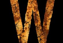 letter w