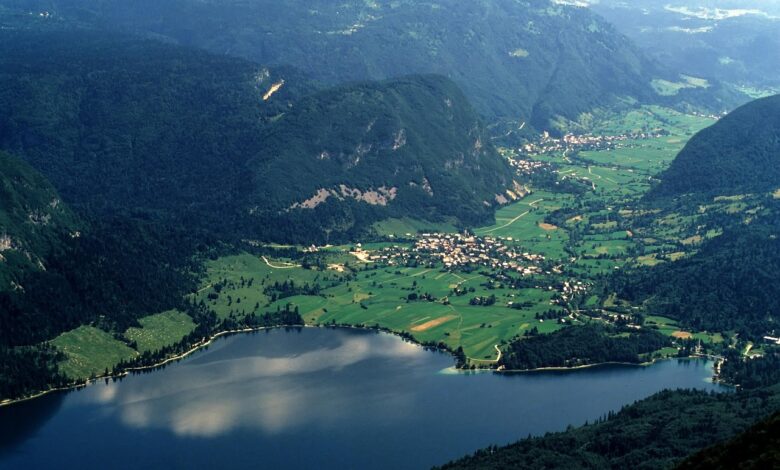 Nova glamping vasica v Bohinju navdušuje z razkošjem v naravi #foto 1 nova glamping vasica v bohinju navdusuje z razkosjem v naravi foto 6a353d5dc9340 1781874013