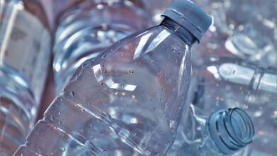 plastic bottle