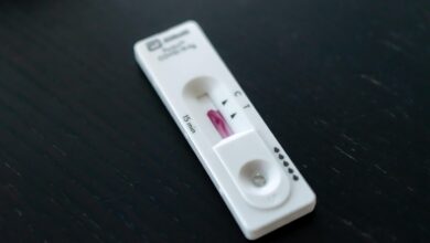 pogostejsi nadzori na cestah razkrili alarmantne stevilke 6a3d265d5169c 1782392413