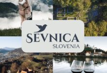 potapljaska avantura v sevnici vec kot 200 otrok odkriva carobnost podvodnega sveta 6a213eba30673 1780563642