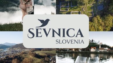 potapljaska avantura v sevnici vec kot 200 otrok odkriva carobnost podvodnega sveta 6a213eba30673 1780563642