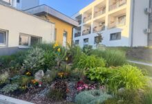 prazne sobe v dso novo mesto pomanjkanje kadra ovira sprejem novih stanovalcev 6a43da1002e02 1782831632