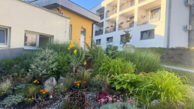 prazne sobe v dso novo mesto pomanjkanje kadra ovira sprejem novih stanovalcev 6a43da1002e02 1782831632