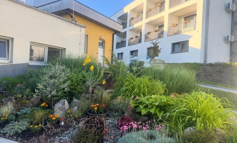 prazne sobe v dso novo mesto pomanjkanje kadra ovira sprejem novih stanovalcev 6a43da1002e02 1782831632