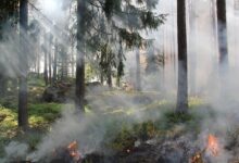 primoz koman obsojen za poskus poziga s pomocjo dronov 6a21227c0c870 1780556412