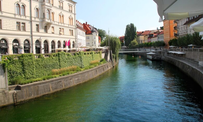 OECD: Slovensko gospodarstvo kljub izzivom ostaja močno, a potrebuje ukrepe za rast 1 slovenia flag