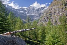 tragedija na gran paradisu smrt treh alpinistov sokira italijo 6a2d8c9cafbcf 1781370012