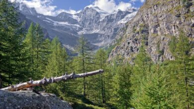 tragedija na gran paradisu smrt treh alpinistov sokira italijo 6a2d8c9cafbcf 1781370012