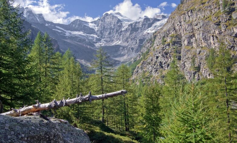 tragedija na gran paradisu smrt treh alpinistov sokira italijo 6a2d8c9cafbcf 1781370012
